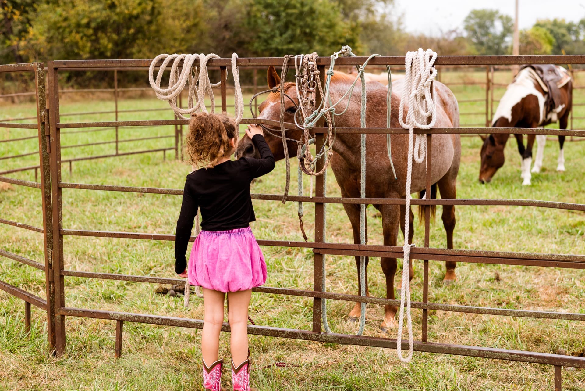 Girl in a pink skirt and boots petting a horse through the fence