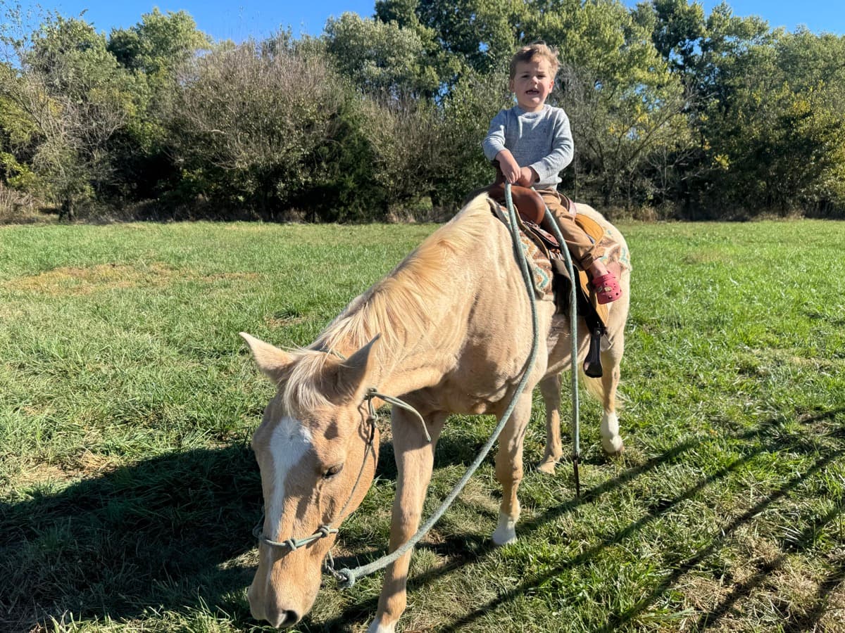 Little one riding a palomino horse in the pasture